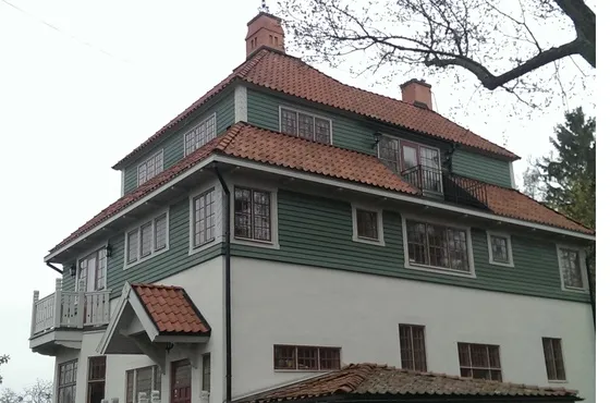 Vecā dakstiņa renovācija 1